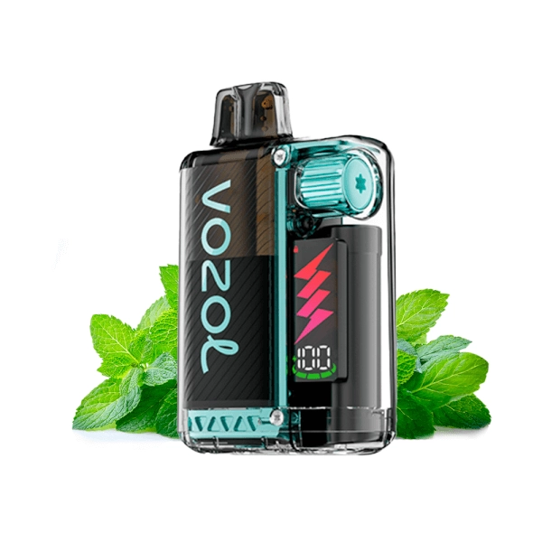 Vozol Vista Plug 2+10 Kit